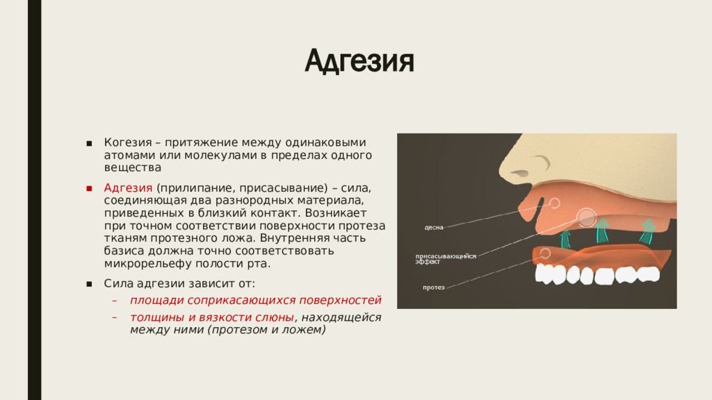 Адгезия это. Адгезия примеры. Работа адгезии и когезии. Что такое адгезия, когезия и аутогезия.