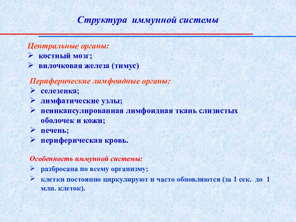 строение иммунной системы