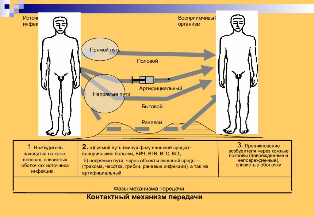 Эпидемический процесс презентация