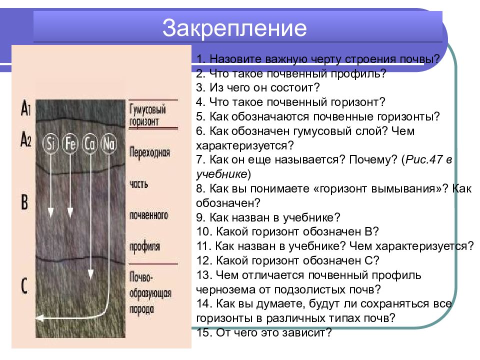 Презентация образование почв и их разнообразие. Презентация образование почв и их разнообразие