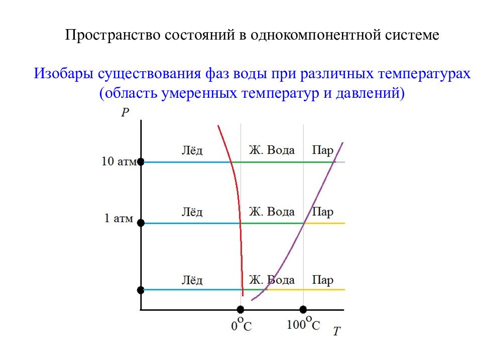 Пространство состояний. Модель в пространстве состояний. Пространство состояний системы. Области существования фаз.