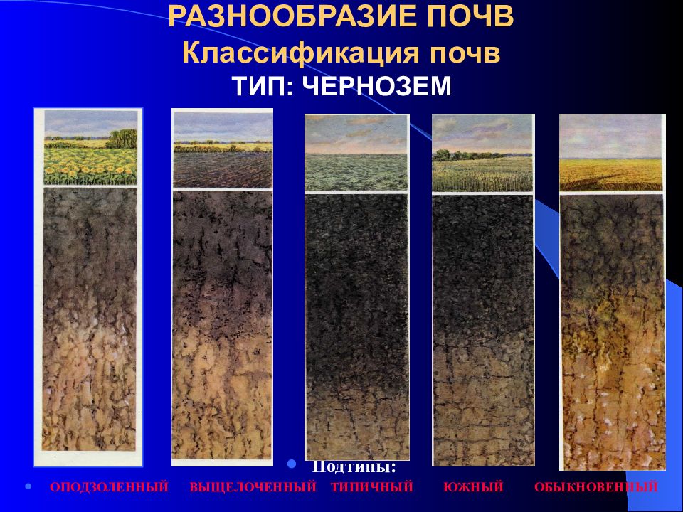 Картинки почвы чернозем