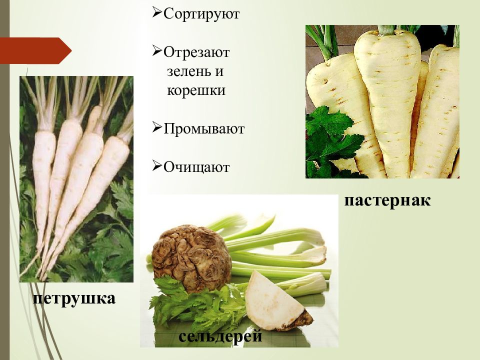 Технологическая схема механической кулинарной обработки овощей