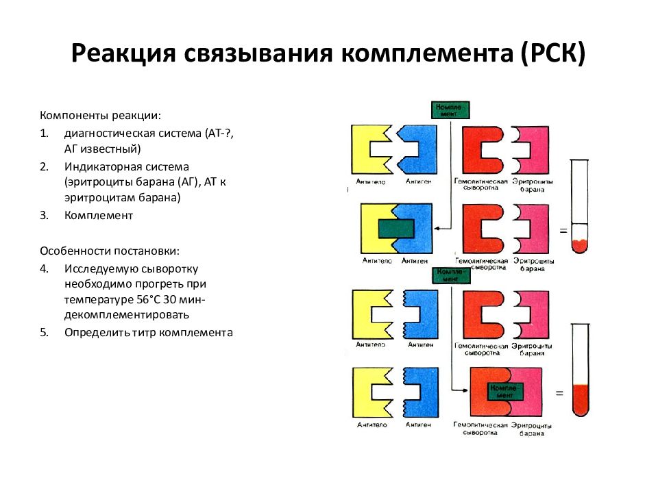 Схема постановки реакции связывания комплемента