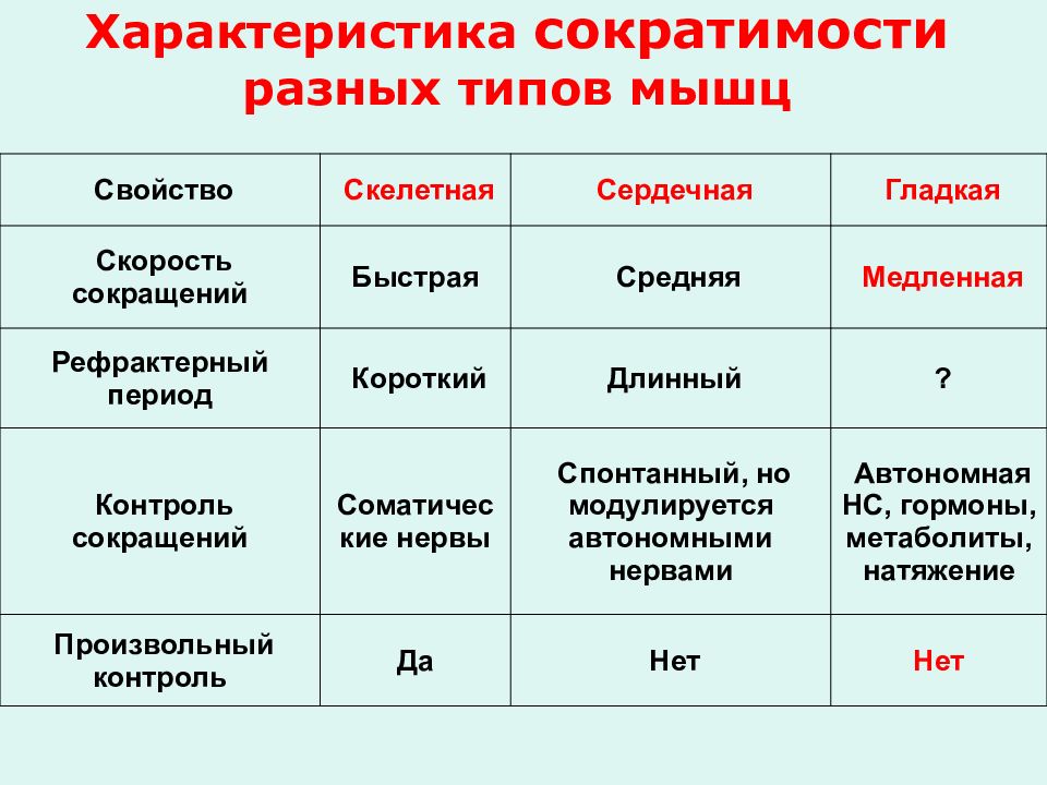 Виды сократимости. Характеристика сокращения скелетной мышечной ткани. Характер сокращения гладкой мышечной ткани. Скорость сокращения мышечных тканей. Сравнительная характеристика видов мышечной ткани таблица.