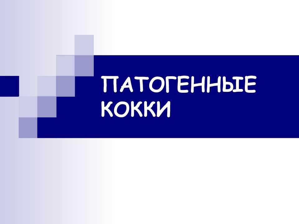 ПАТОГЕННЫЕ КОККИ