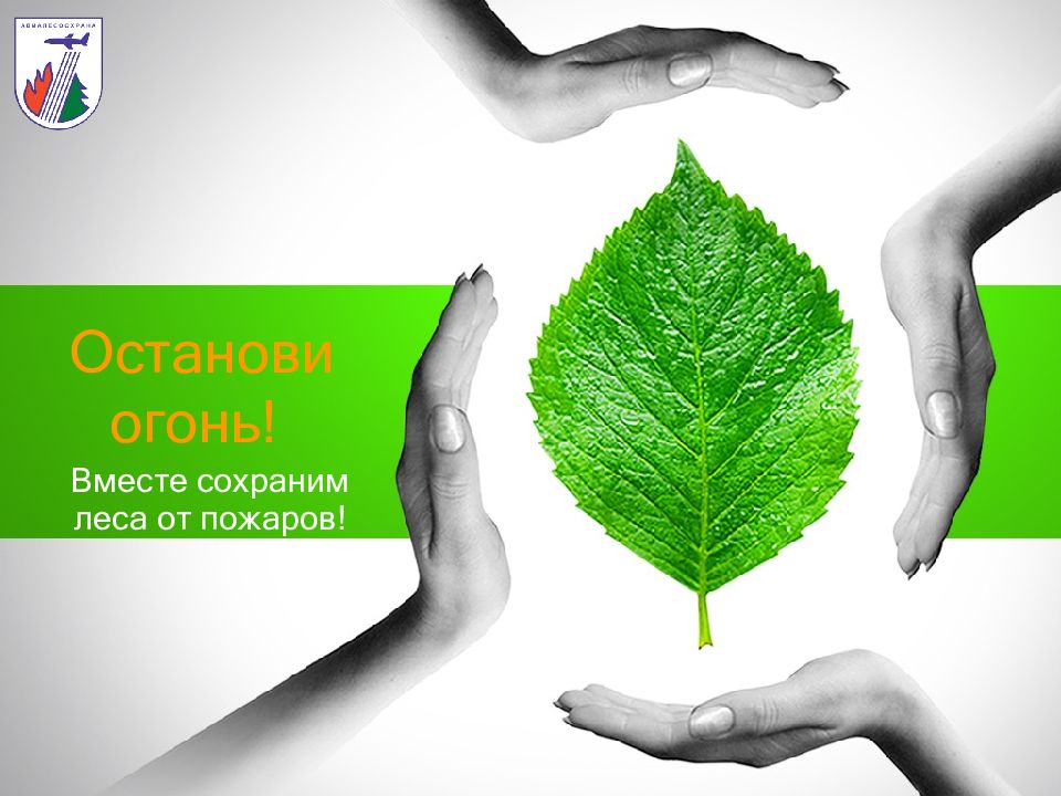 Останови огонь!