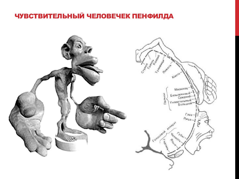 Чувствительность картинки для презентации