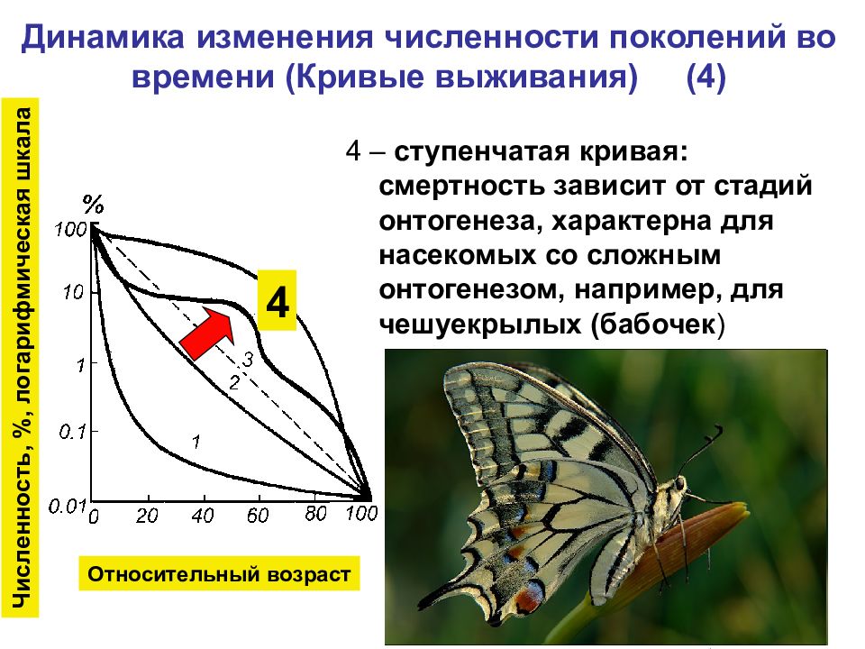 Почему выживают популяции с низкой рождаемостью. Кривые выживания экология. Типы кривых выживания популяции. Кривые выживаемости. График выживаемости насекомых.