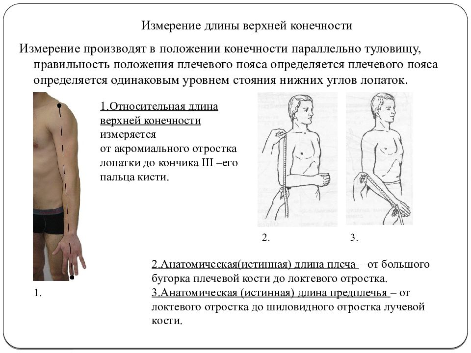 Нижний измерение. Измерение длины верхней конечности травматология. Измерение функциональной длины конечностей. Измерение длины нижней конечности травматология. Измерение относительной длины верхней конечности.