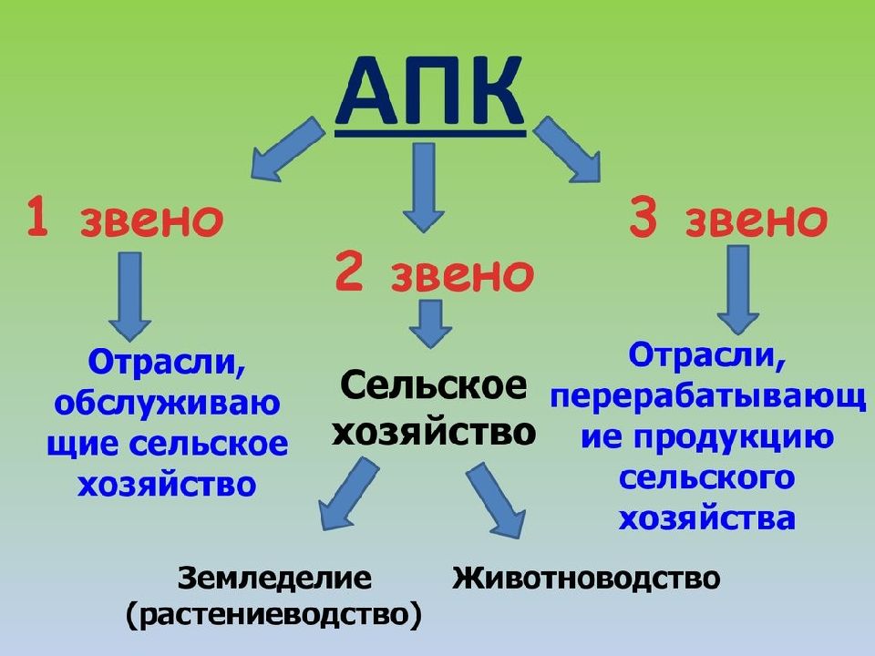 Схема география сельского хозяйства