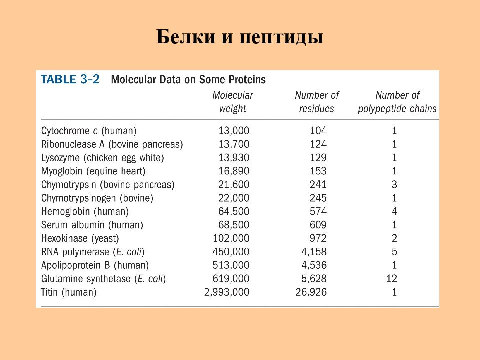 Белки и пептиды презентация