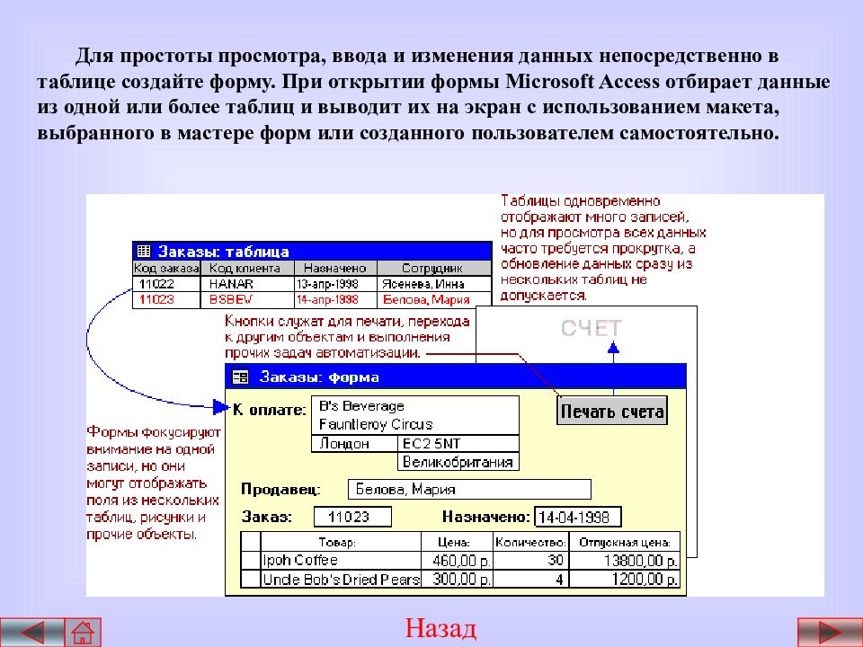 Элементы базы данных