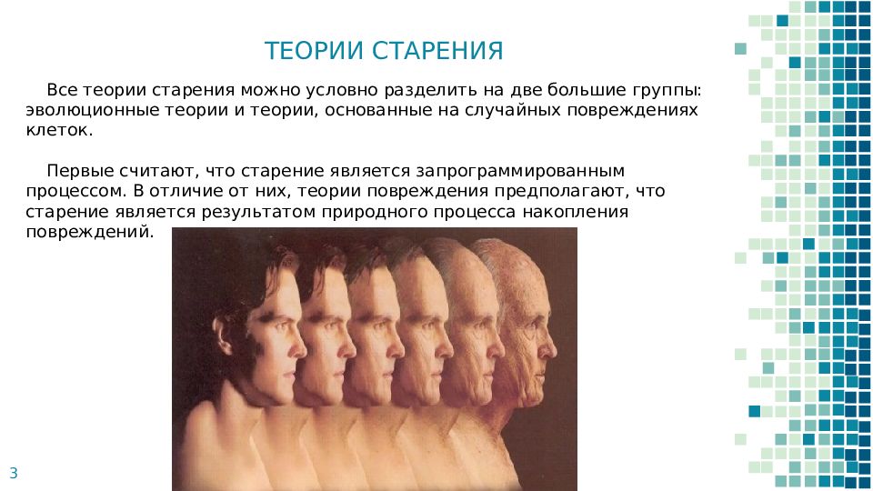 Презентация старость и старение