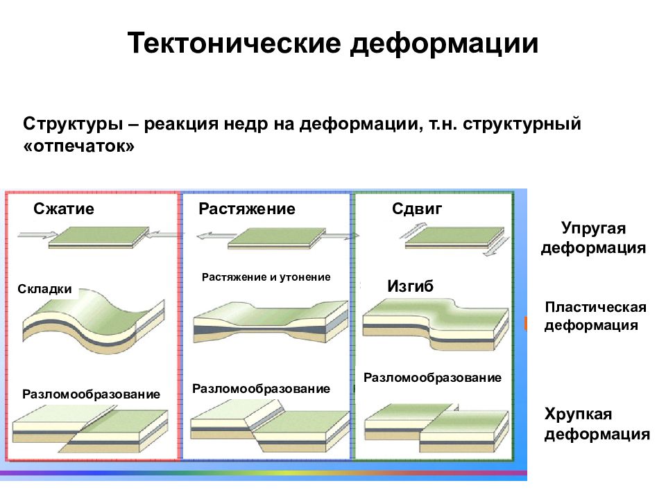 Тектонические структуры это. Тектоническая деформация. Разрывные тектонические деформации. Типы тектонических деформаций. Геологические деформации.