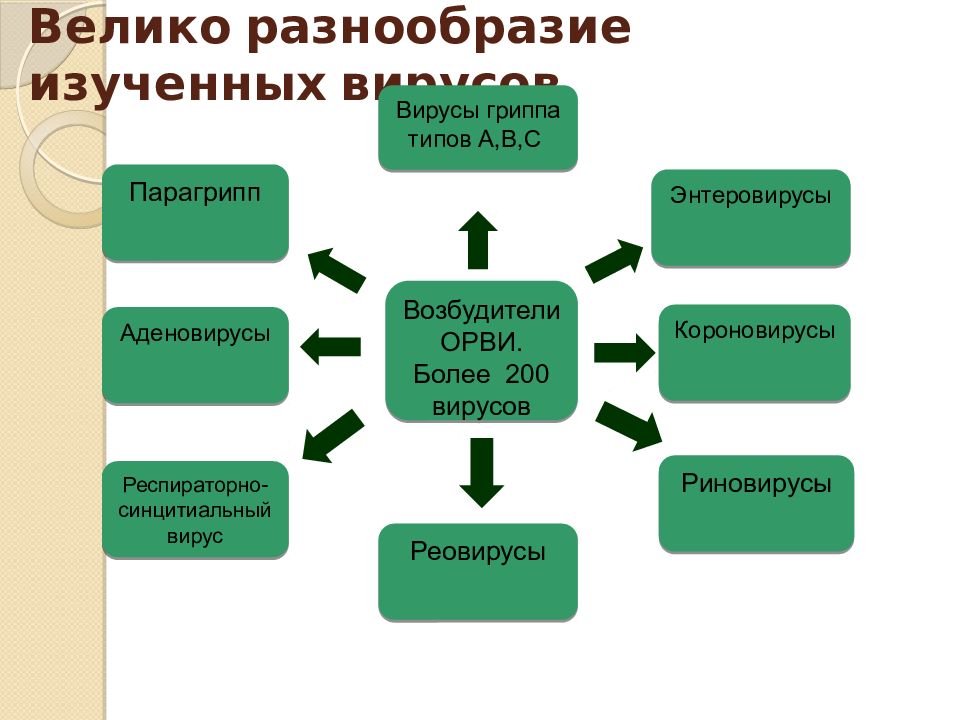 Разнообразие велико. Виды ори вирусов. Характеристикой разнообразия изучаемого признака.