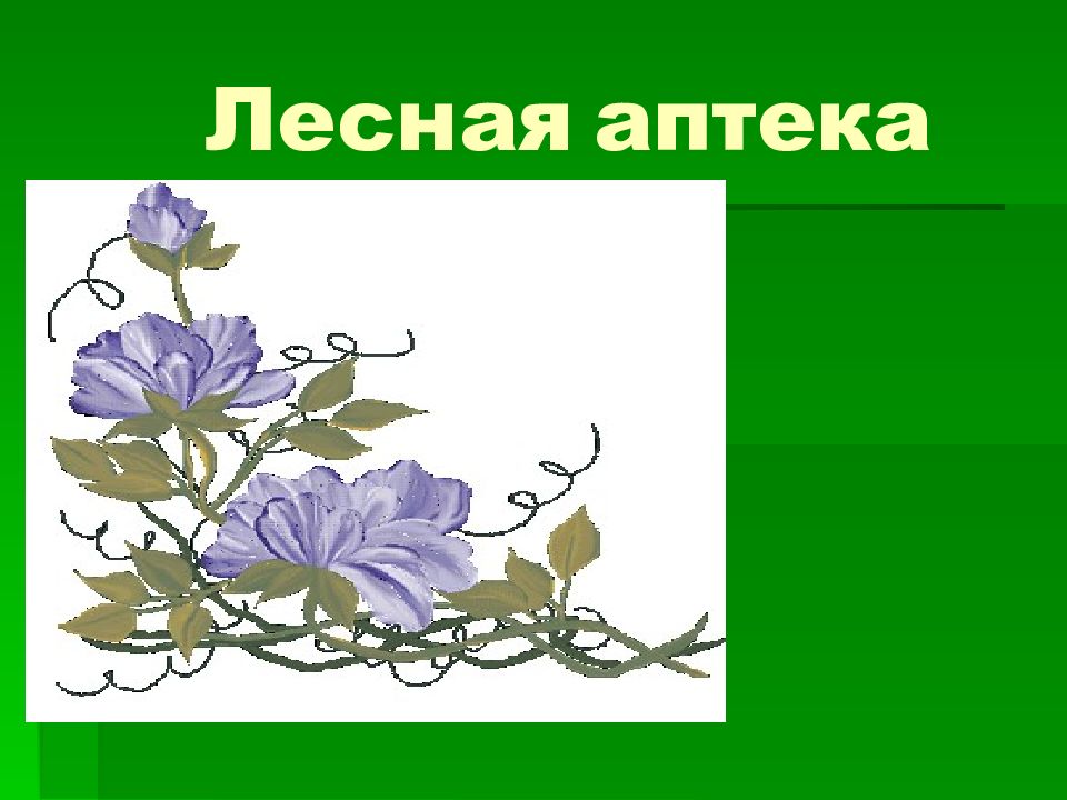 Лесная аптека