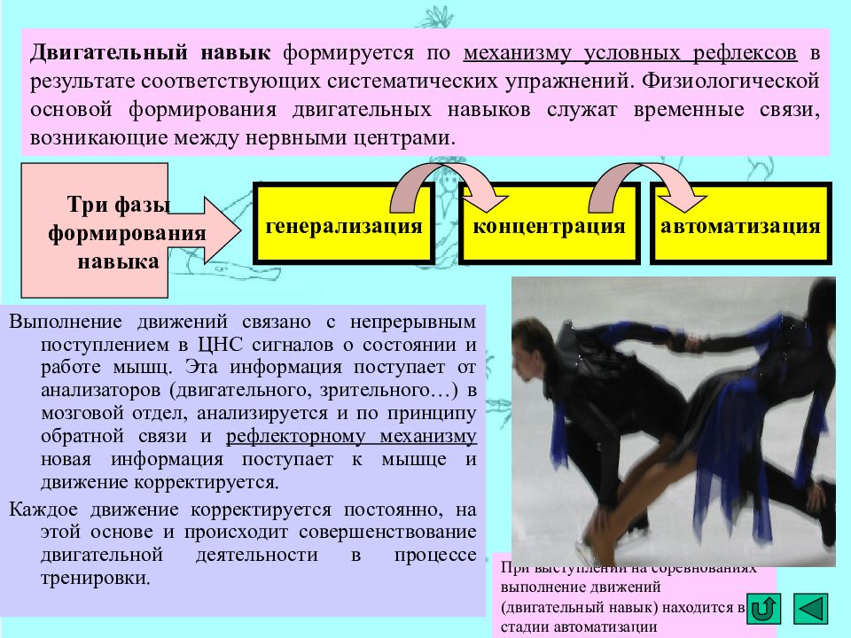 Процесс формирования двигательных навыков. Стадии формирования двигательного навыка. Фазы формирования двигательного навыка. Этапы становления двигательного навыка. Закономерности формирования двигательных навыков.