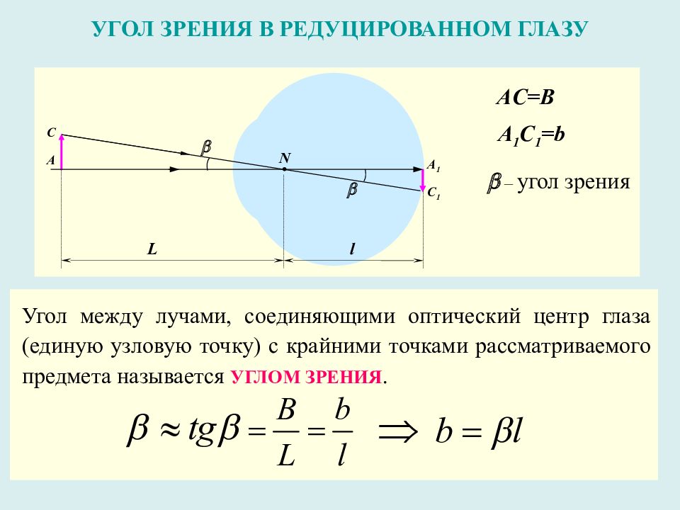 Угол зрения равен. Угол зрения. Угол зрения глаза. Угол человеческого зрения. Вертикальный угол зрения.