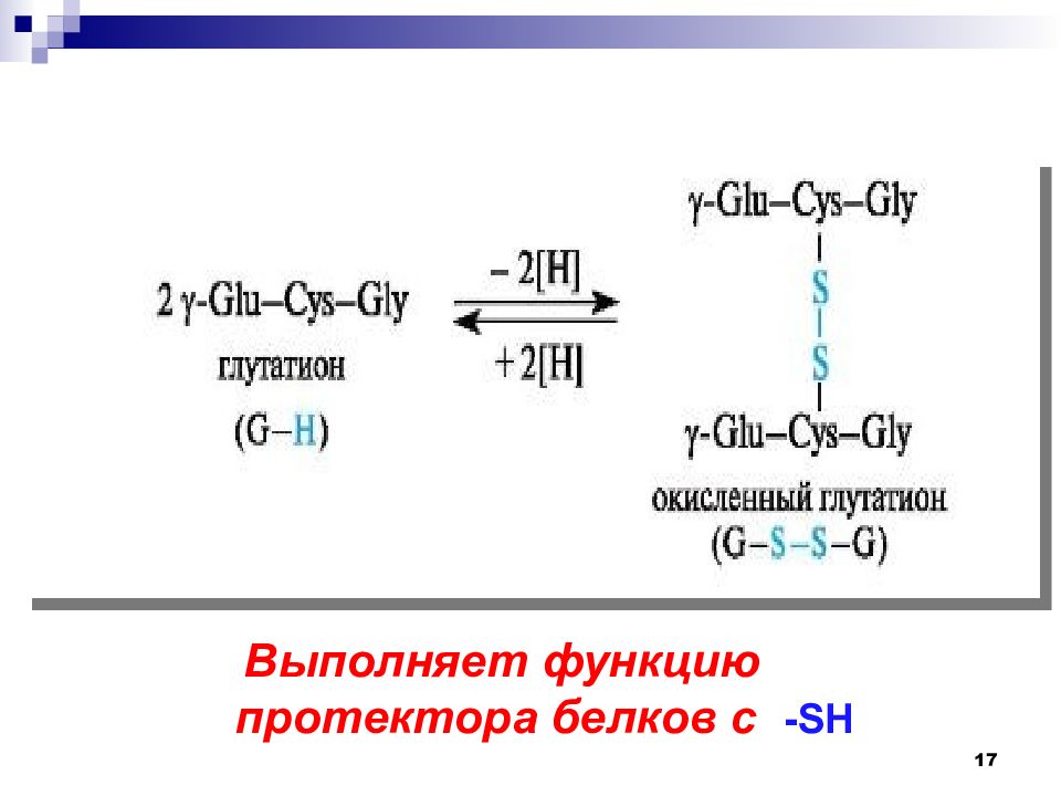 Схема образования глутатиона