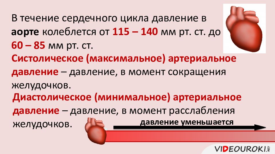 Сердце высокие давления. Давление крови в аорте. Движение крови по сосудам. Последовательность крови по сосудам. Движение крови по сосудам кровяное давление.