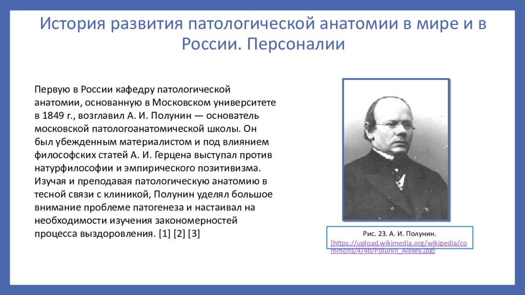 История развития патологической анатомии презентация