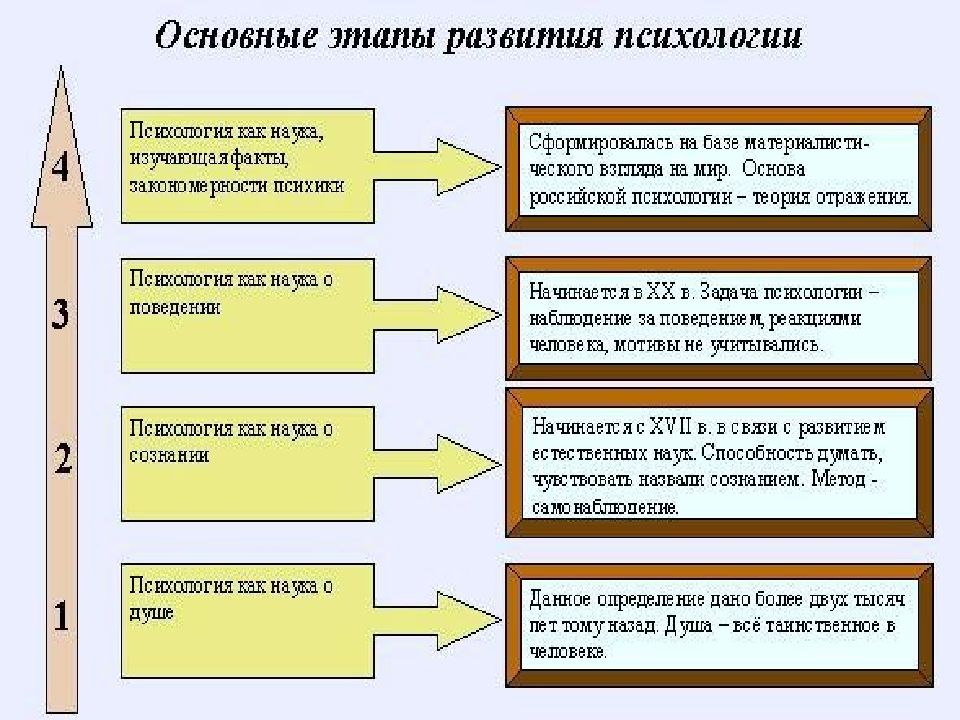 Общие представления о поведении и психике человека презентация