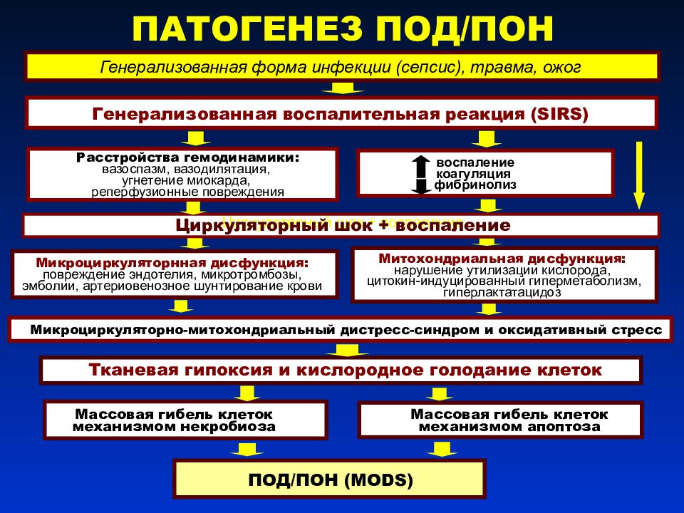 Обозначьте основные звенья патогенеза милены