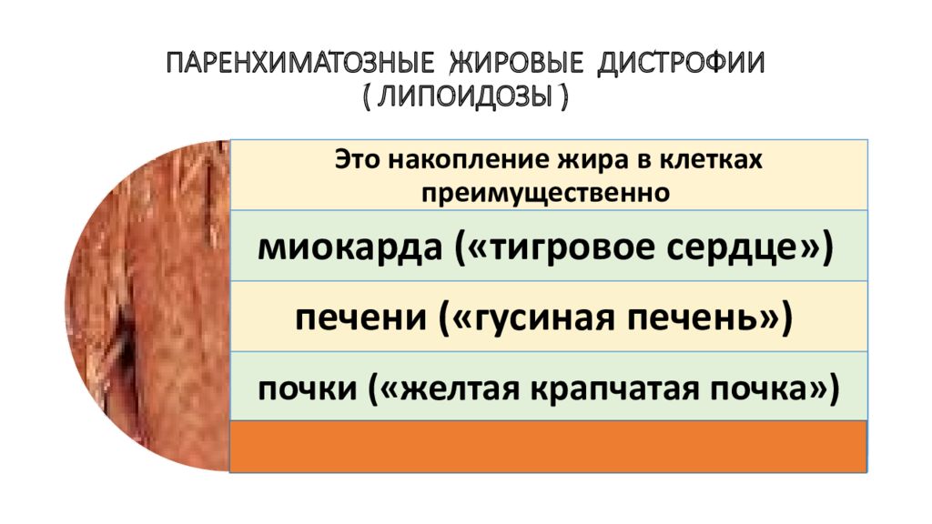 Индурация это. Изменение кожи в виде индурации и атрофии. Укажите причины диапедезных кровоизлияний