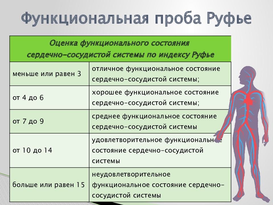 Оптимальное функциональное состояние. Функциональная проба Руфье. Функциональные пробы сердечно-сосудистой системы. Методы самоконтроля функционального состояния организма. Функциональные пробы и самоконтроль.