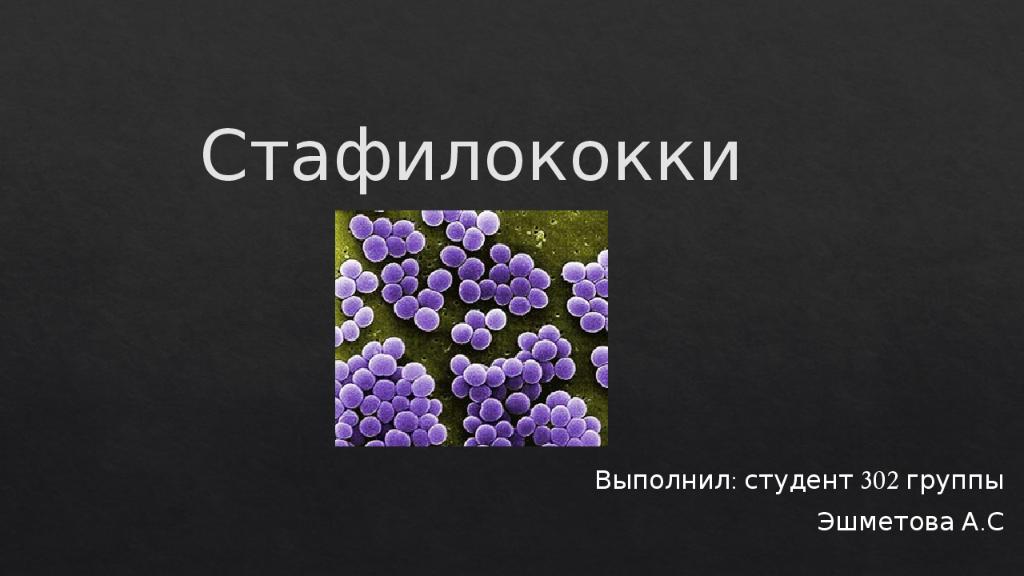 Стафилококки
