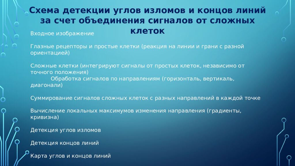 Нейроны зрительной коры: детекторы признаков и их иерархия