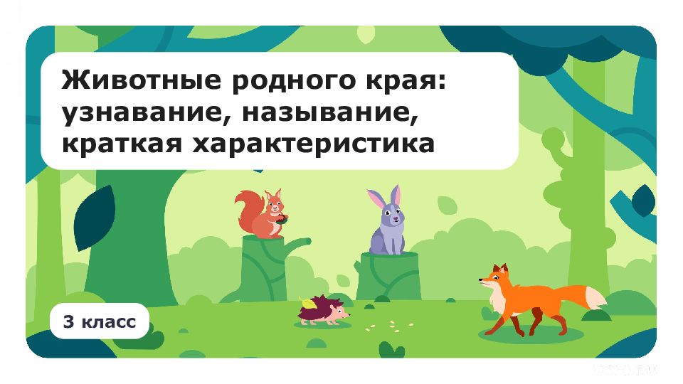 Животные родного края: узнавание, называние, краткая характеристика 1 класс 3