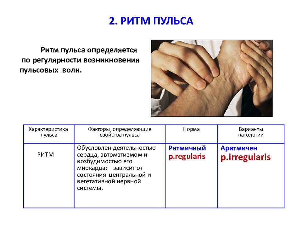 Задание измерение пульса. Методика измерения артериального пульса. Измерение пульса ритмичность. Метод исследования пульса. Измерение пульса на лучевой артерии.