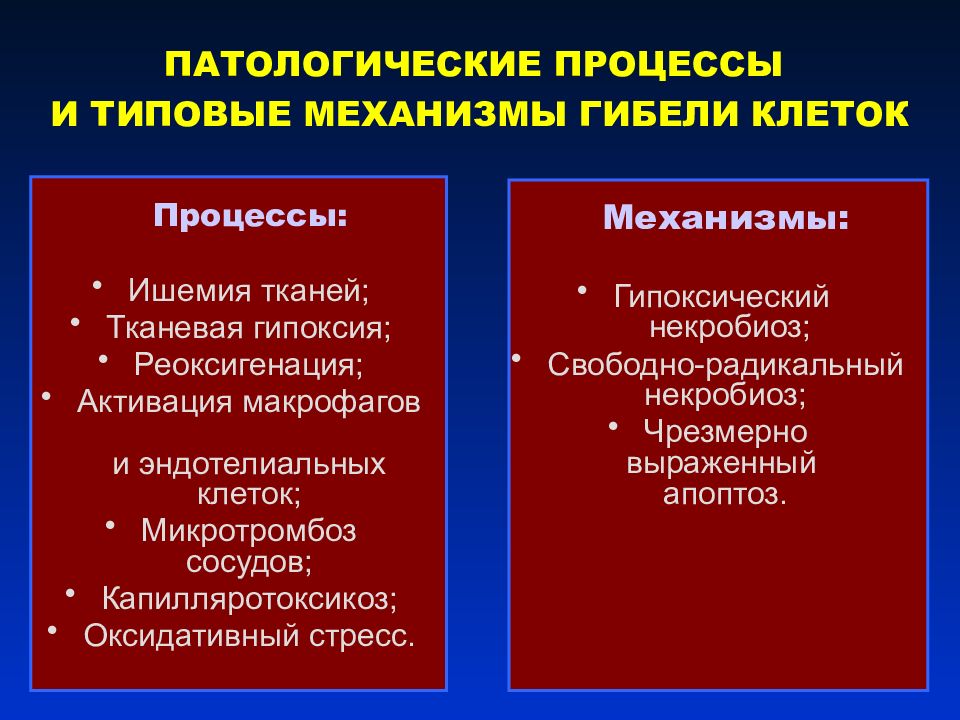 Типы патологических процессов. Типовые патологические процессы. Механизмы развития гипоксического некробиоза клетки. Типовой патологический процесс примеры. Понятие о типовом патологическом процессе.