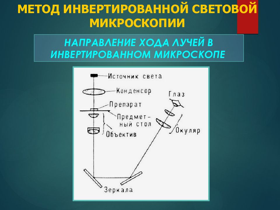 Методы микроскопии. Схема инвертированный световой микроскоп. Метод световой микроскопии. Основные методы световой микроскопии. Метод микроскопии в световом микроскопе.