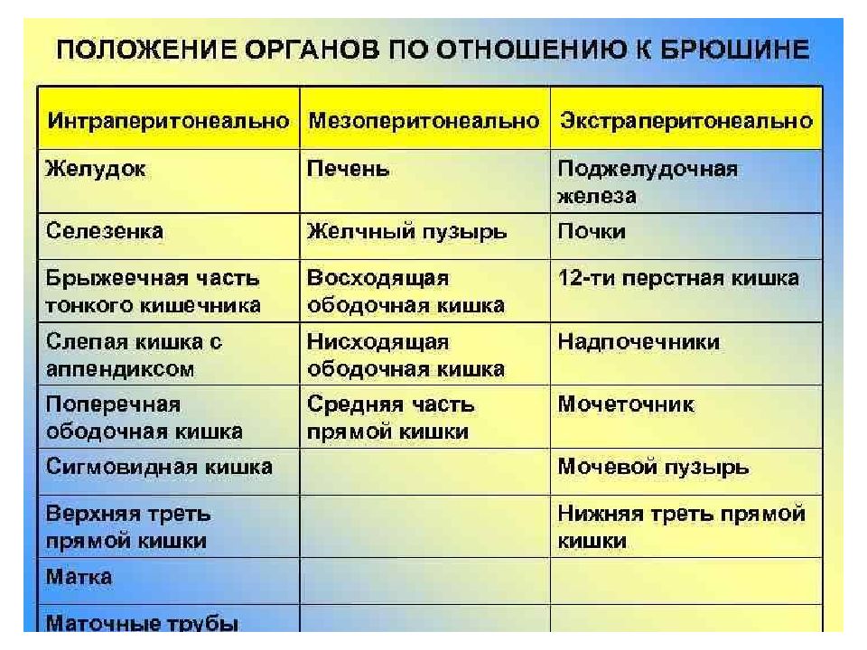 Положение органа. Отношение поджелудочной железы к брюшине. Расположение органов по отношению к брюшине таблица. Покрытие органов брюшиной таблица. Положение поджелудочной железы по отношению к брюшине.