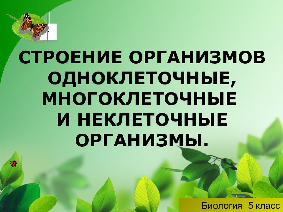 Многоклеточные организмы презентация 5 класс