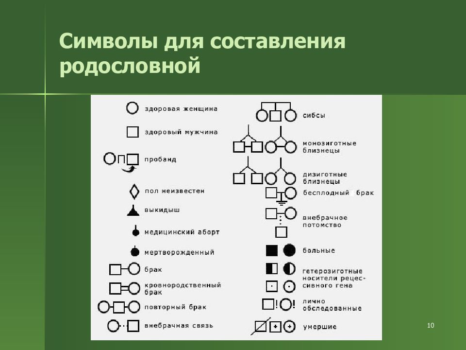 Обозначения в биологии генетика. Символы для составления родословной. Обозначения в родословной.