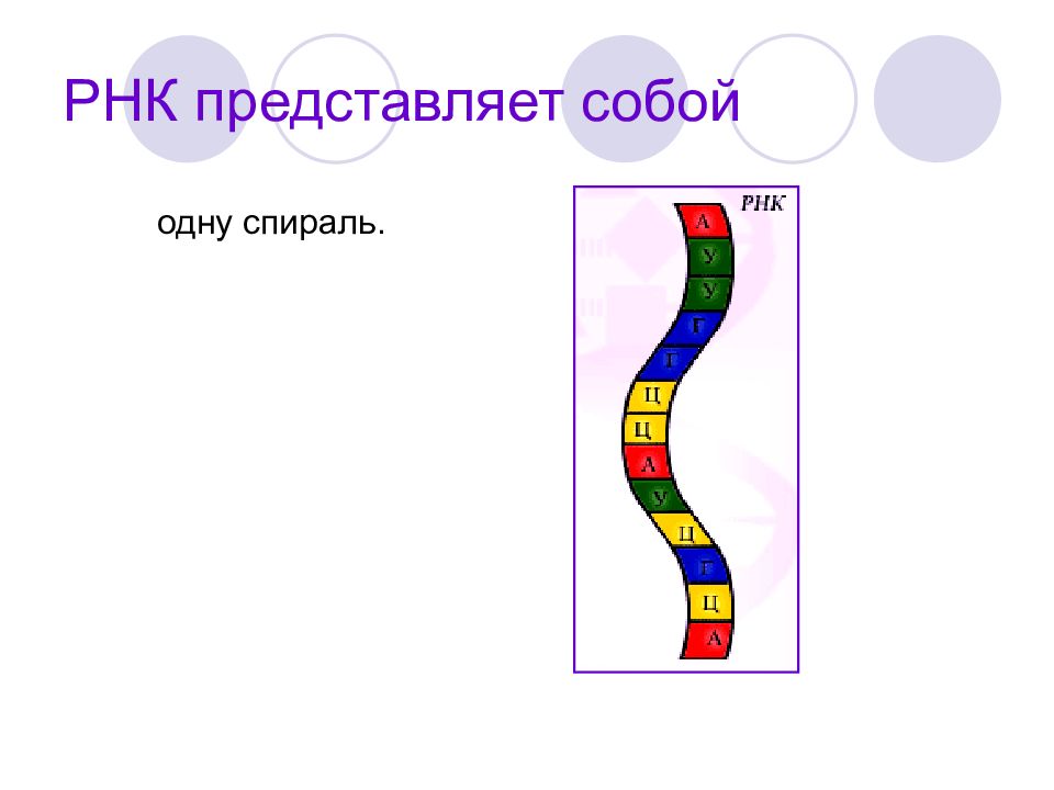 Презентация на тему атф и другие органические соединения клетки