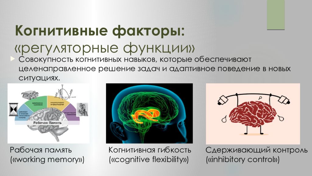 Когнитивные функции это. Когнитивные факторы. Когнитивные факторы, факторы. Когнитивная гибкость. Когнитивные факторы это в психологии.