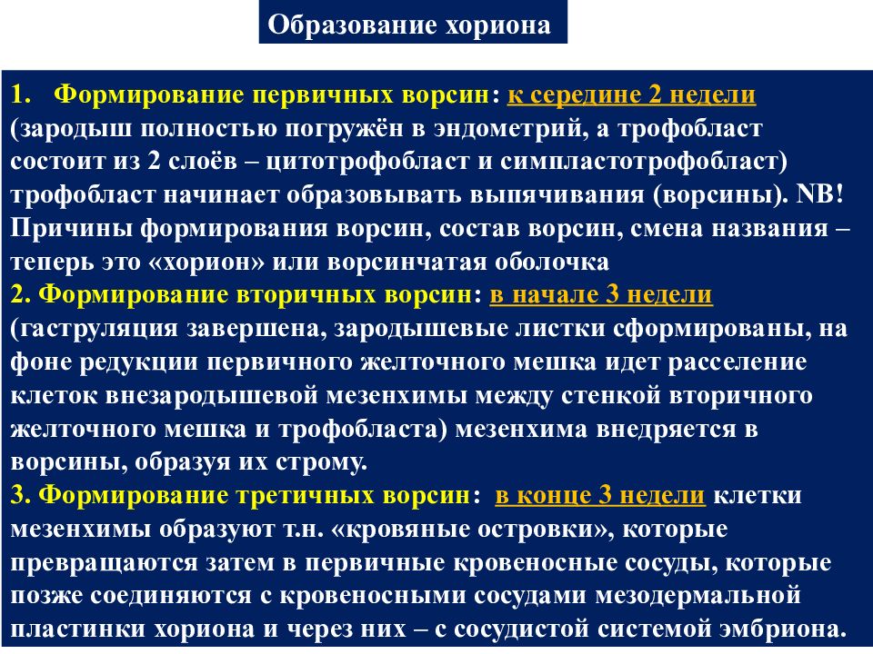 Формирование первичных. Формирование первичных и вторичных ворсин хориона. Первичные вторичные и третичные ворсины хориона. Формирование ворсин хориона. Структуры формирующегося хориона.