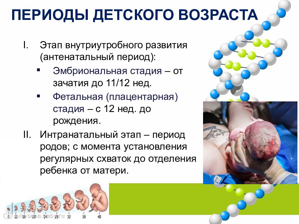 Презентация на тему развитие ребенка после рождения