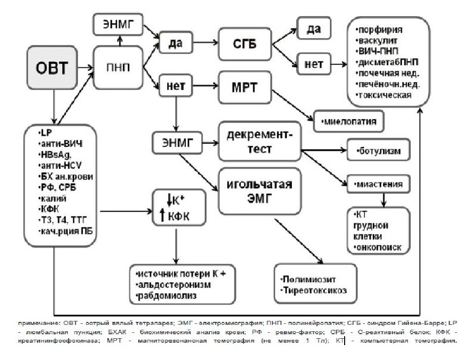 Синдром гийена барре презентация