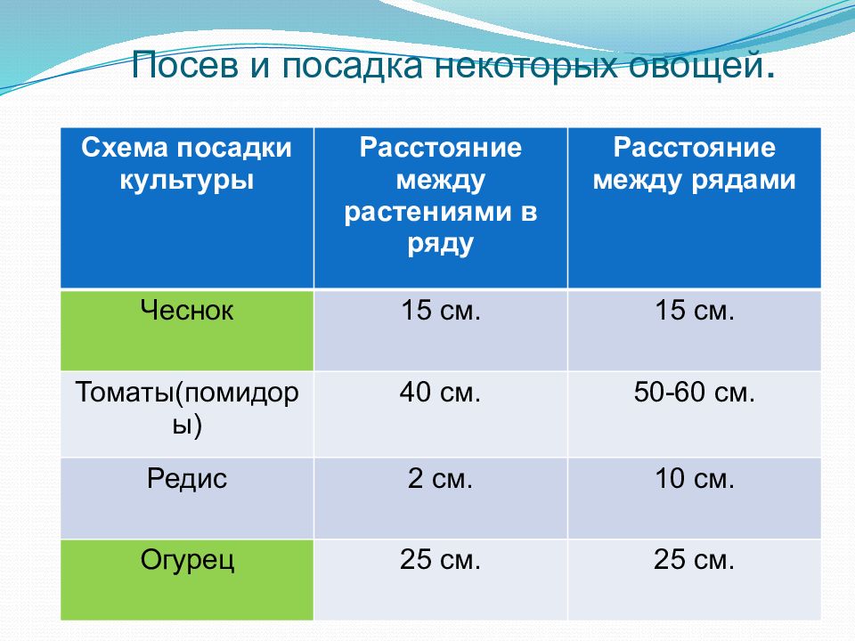 Технология посева и посадки культурных растений 6 класс технология презентация