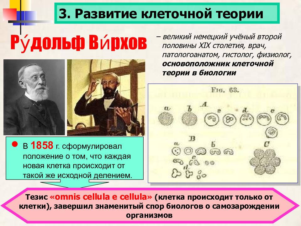 Клеточная теория строения организмов история и современное состояние презентация