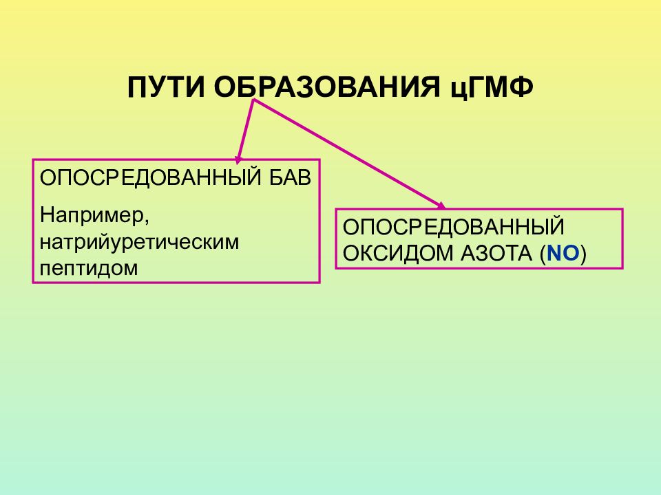 Пути образования