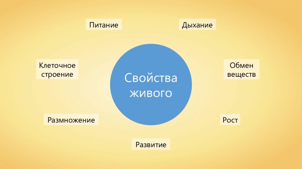 Биология 5 класс свойства. Кластер признаки живого. Кластер свойства живого. Питание, дыхание, обмен веществ, рост размножение. Свойства живого питание.