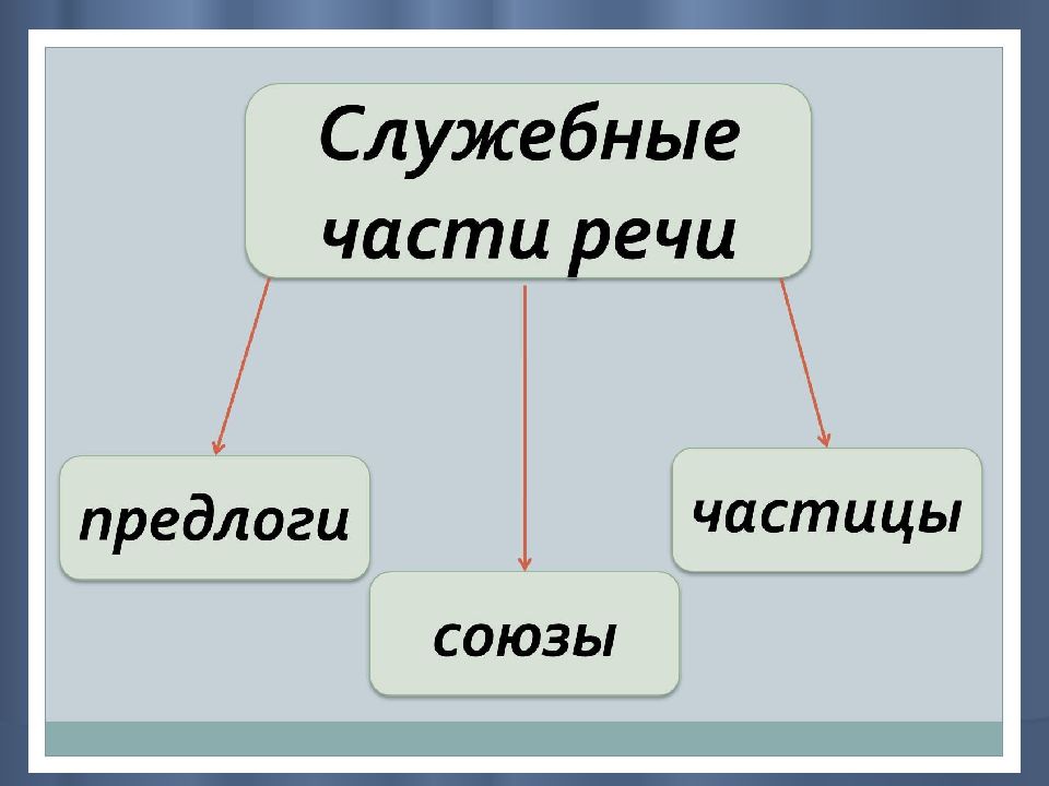 Презентация по русскому языку 7 класс частица