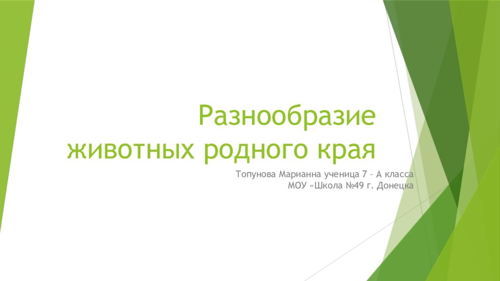 Разнообразие животных родного края